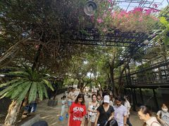 -TrueLove @ Neverland (Husky Cafe)