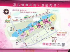 景点-高东镇樱花园