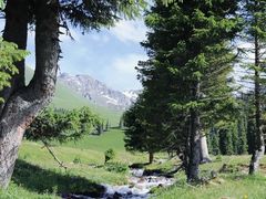 -新疆那拉提国家旅游度假区