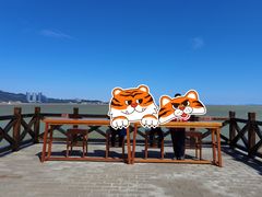 -野狸岛