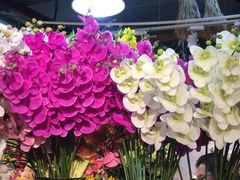 -双季花艺园艺市场(浦东店)