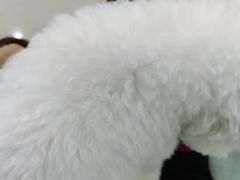 -佳雯宠物医院·皮肤科·内外科(春晓路分院)