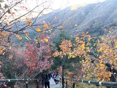 -香山公园