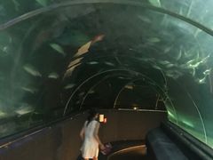 -芽庄珍珠岛游乐园