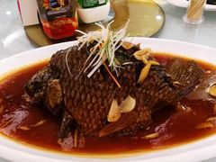 -津悦·正阳春烤鸭(红旗南路店)
