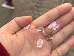-洛阳市隋唐城遗址植物园