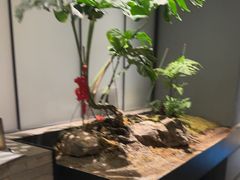 -望京辣宴·古法川菜(望京店)