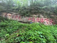 -青城山