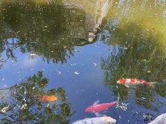 -春风习习