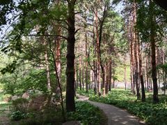 -黑龙江省森林植物园