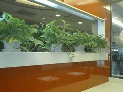 -南城香(北京南站店)