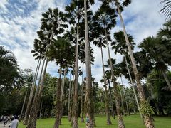 -中国科学院西双版纳热带植物园