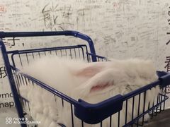-成都失恋馆