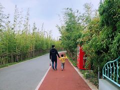 -上海长兴岛郊野公园