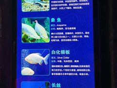 -波塞冬海底世界