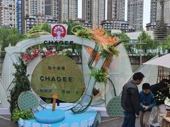 -成都市活水公园