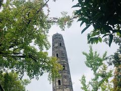 -上海佘山国家森林公园天马山园