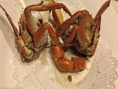 -鑫悦楼煎蟹·16年海鲜大排档