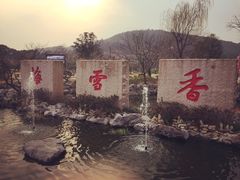 -香雪海
