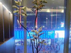 -宫燕府·京菜·烤鸭·淮扬菜(王府中心店)