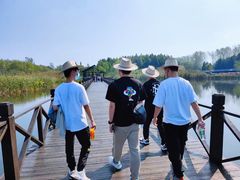 -溱湖国家湿地公园