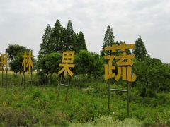 阿林果蔬园-阿林有机农庄