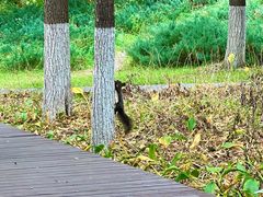 -长春世界雕塑园冰雪艺术天地