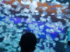 -华夏文旅西安度假区