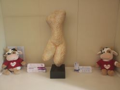 -Yestar艺星医疗美容医院