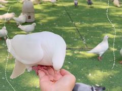 -长白岛森林公园