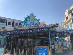 -芜湖新华联大白鲸海洋公园