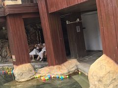 -裕龙汤泉