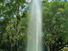 -九龙公园
