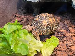 -上海海洋水族馆