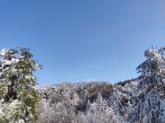 -秦岭风景区
