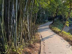 -林丰温泉度假山庄