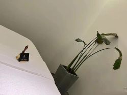 点击看大图 -LB·海菲秀牛奶光官方体验中心