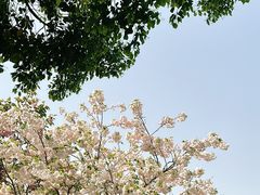 -上方山森林动物世界