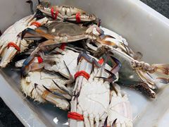 -来之顺海鲜菜馆·青岛菜·始于1993(栈桥店)