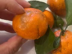 -爱情海·高端·汤泉