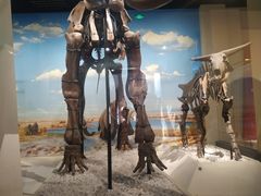 -国家自然博物馆