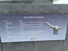-中华赏石园