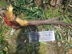 -陕西自然博物馆