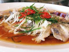 -白天鹅家宴·东北菜