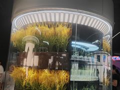 -上海科技馆-探索之光