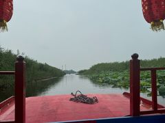 -白洋淀景区