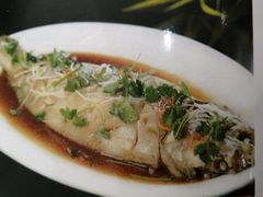 美味-福星饭店(北新胡同店)