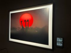 -罗红摄影艺术馆