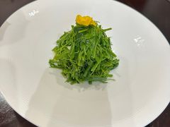 -浦江悦(陆家嘴保利广场店)