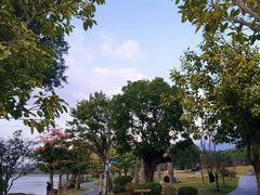 -光明港公园